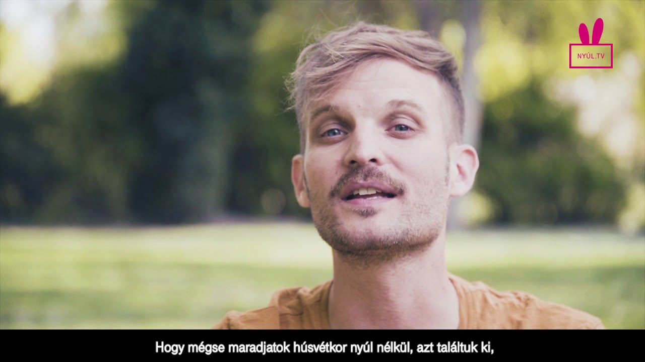 Nyúl TV